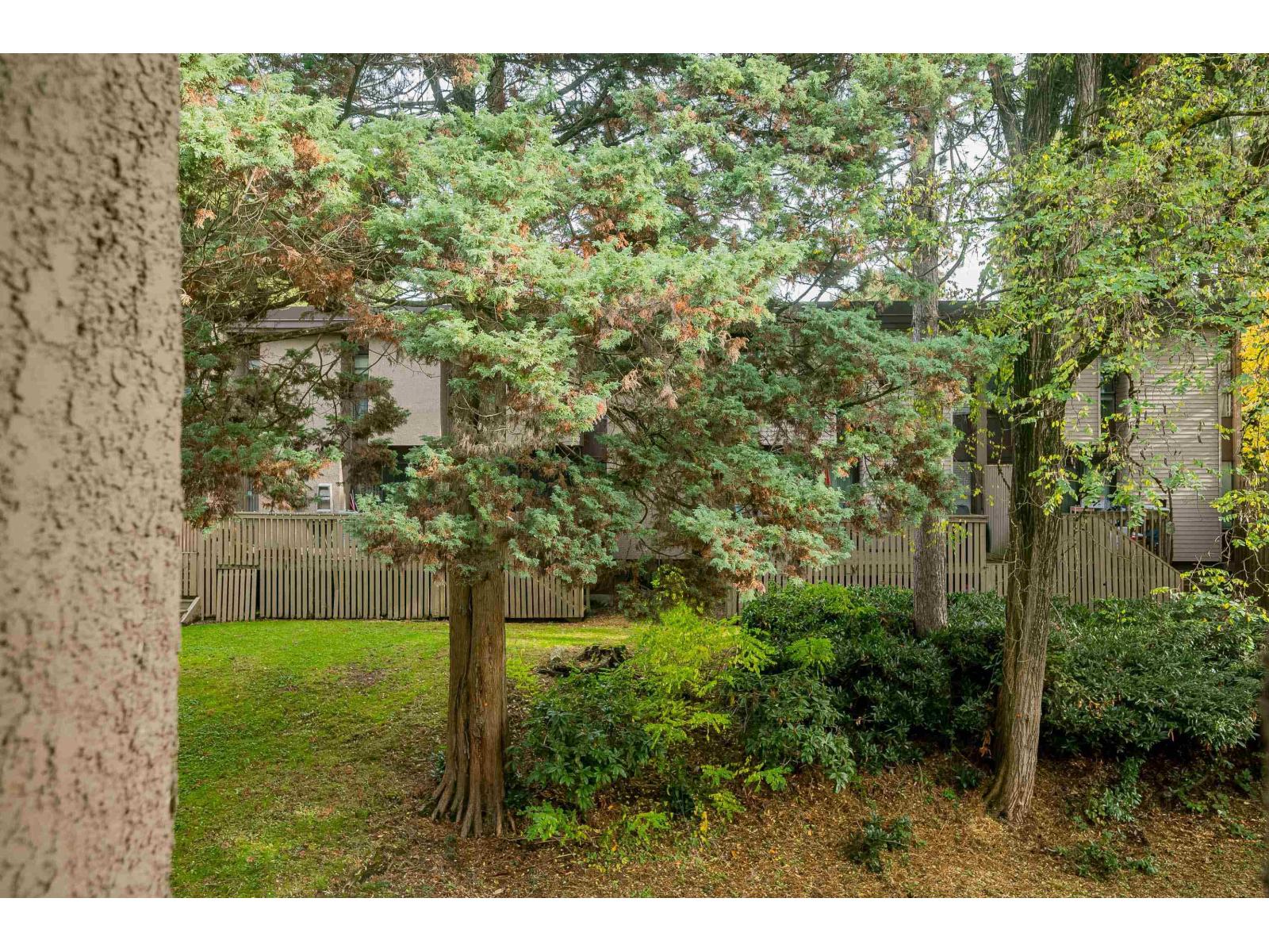 19 13775 102 Avenue, Surrey, British Columbia  V3T 1N9 - Photo 18 - R3064565