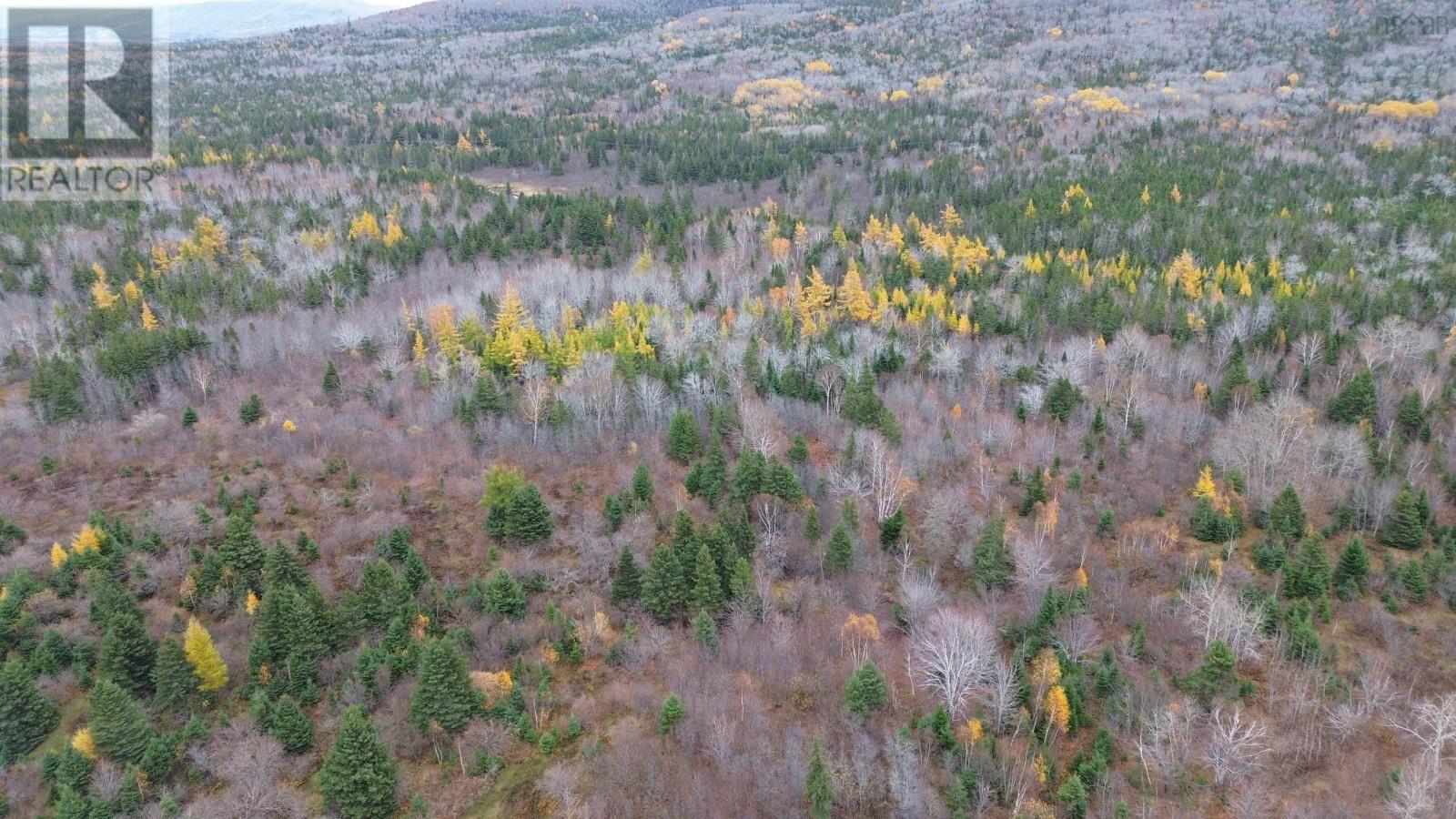 173 Southwest Margaree Road, Southwest Margaree, Nova Scotia  B0E 2A0 - Photo 10 - 202524127