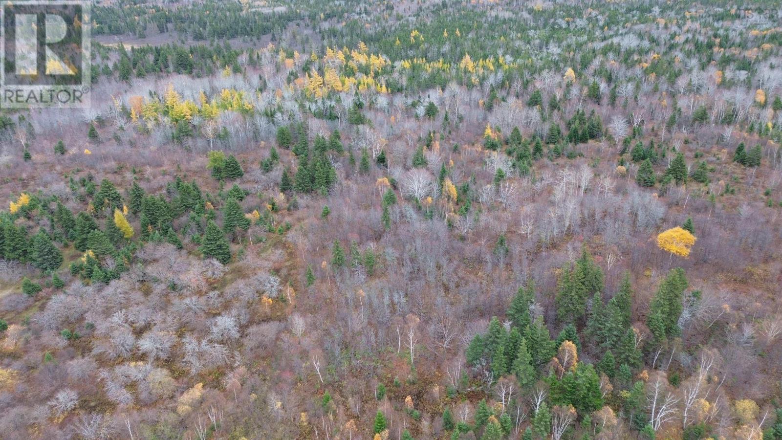 Es/sw Margaree Road, Southwest Margaree, Nova Scotia  B0E 2A0 - Photo 8 - 202524253