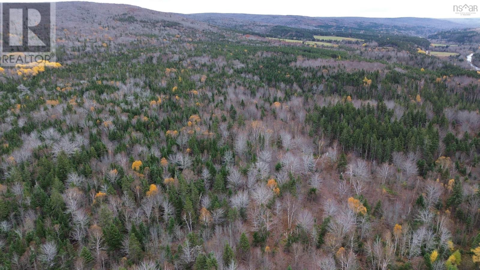173 Southwest Margaree Road, Southwest Margaree, Nova Scotia  B0E 2A0 - Photo 18 - 202524127