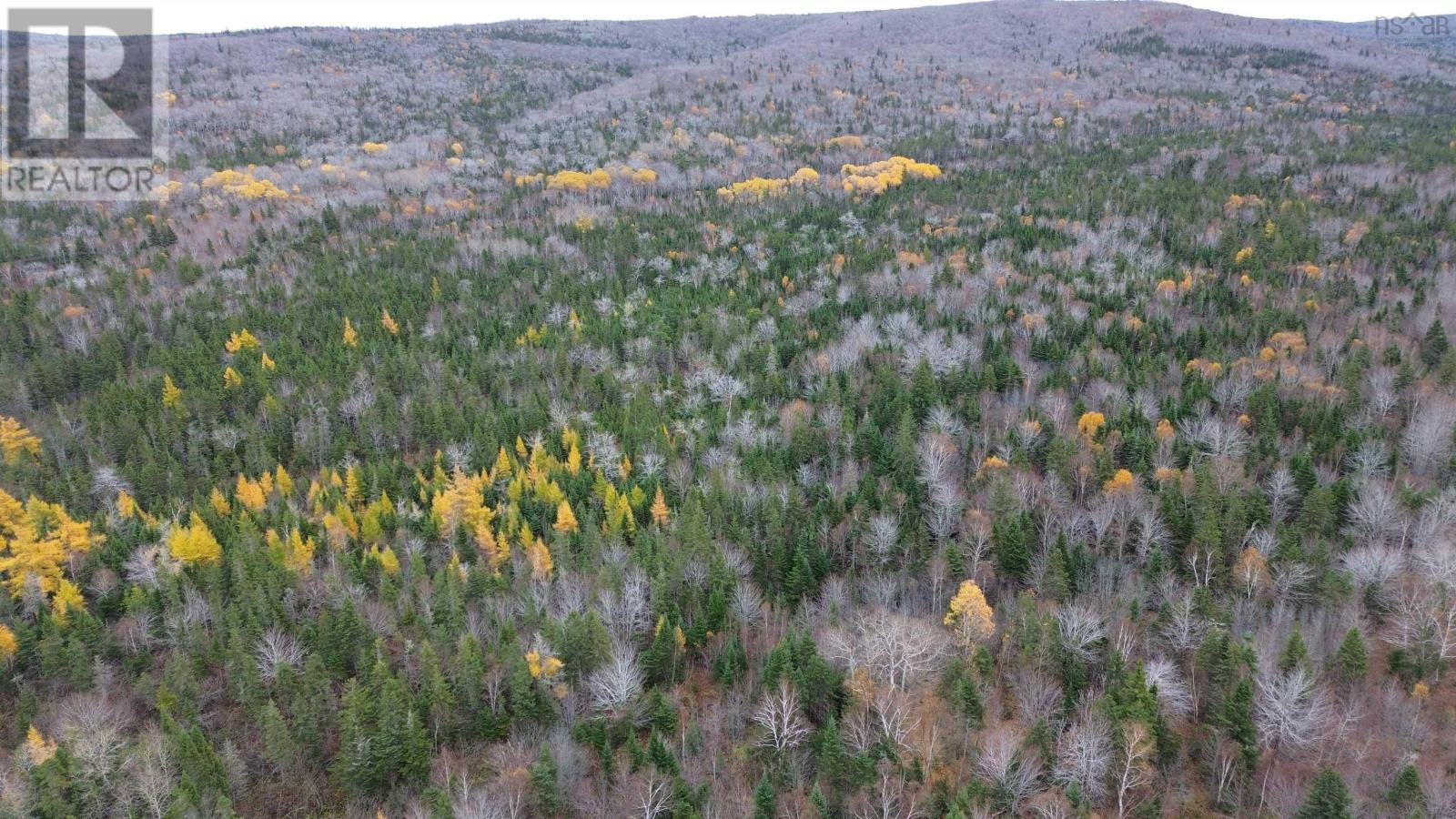 Es/sw Margaree Road, Southwest Margaree, Nova Scotia  B0E 2A0 - Photo 17 - 202524253
