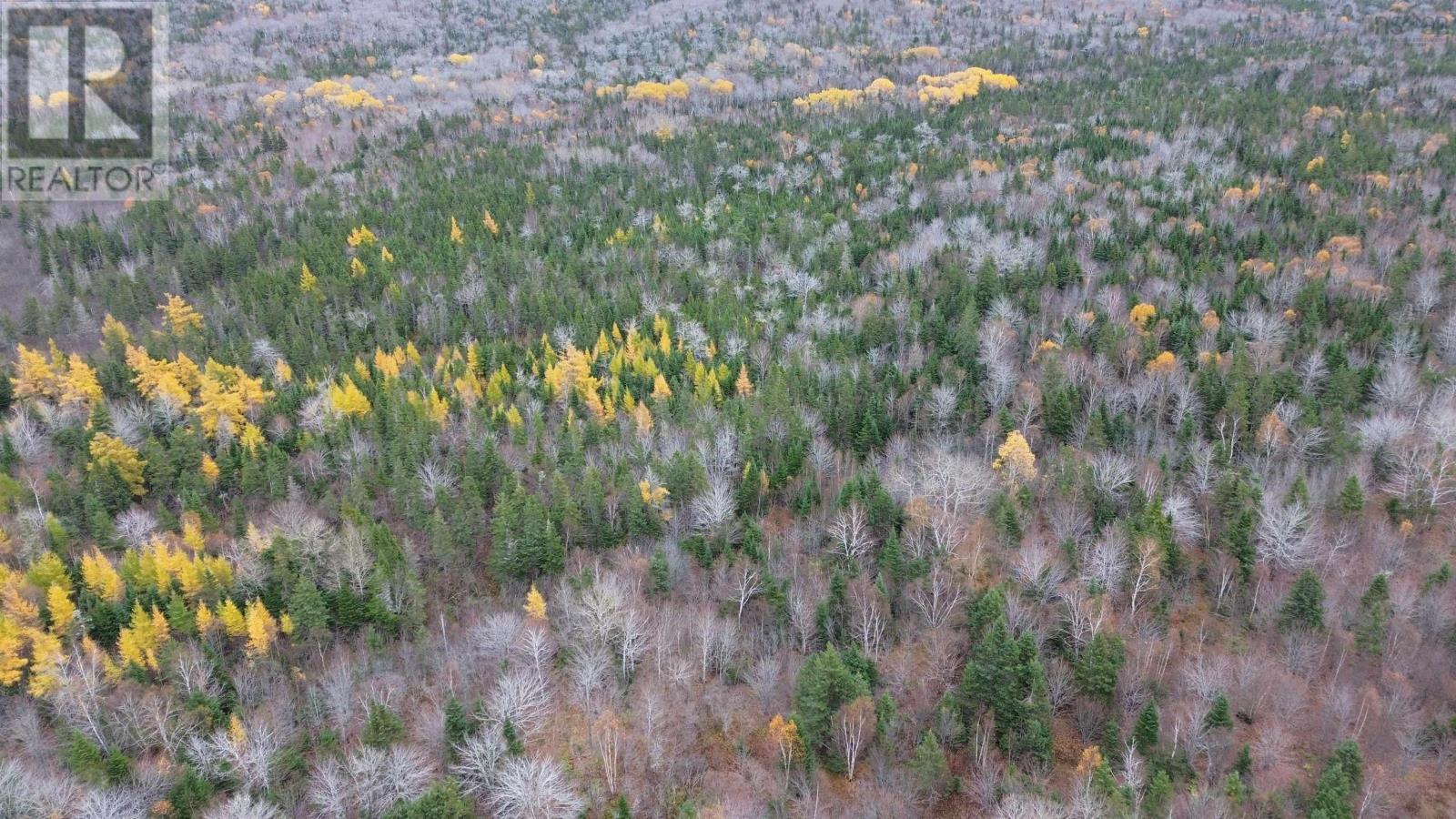 Es/sw Margaree Road, Southwest Margaree, Nova Scotia  B0E 2A0 - Photo 16 - 202524253