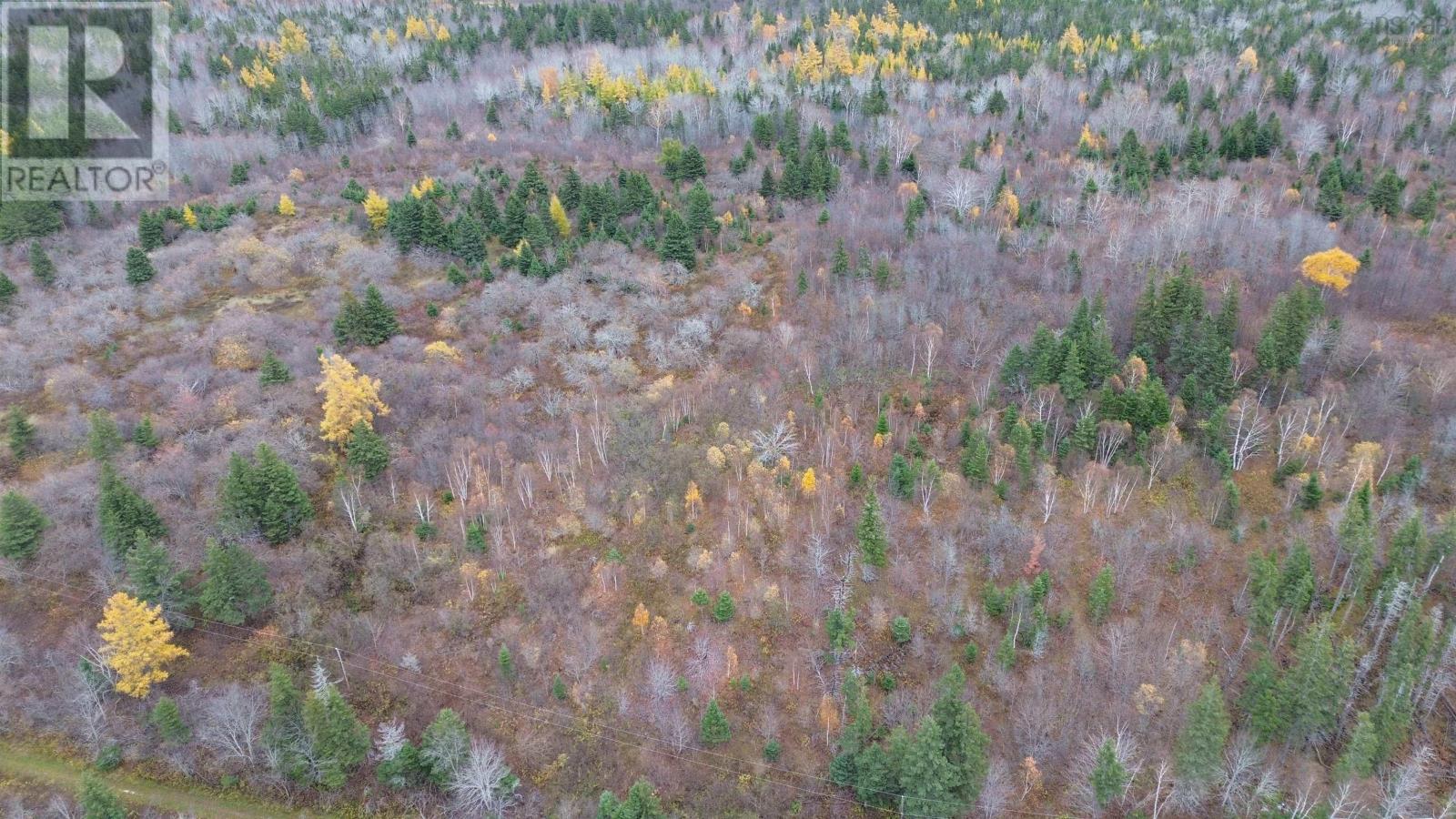 Es/sw Margaree Road, Southwest Margaree, Nova Scotia  B0E 2A0 - Photo 6 - 202524253