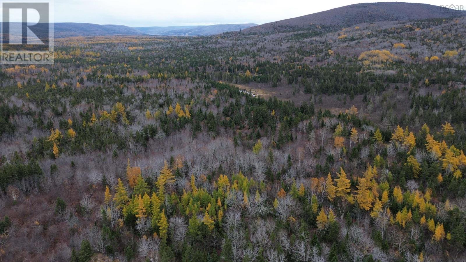 Es/sw Margaree Road, Southwest Margaree, Nova Scotia  B0E 2A0 - Photo 15 - 202524253