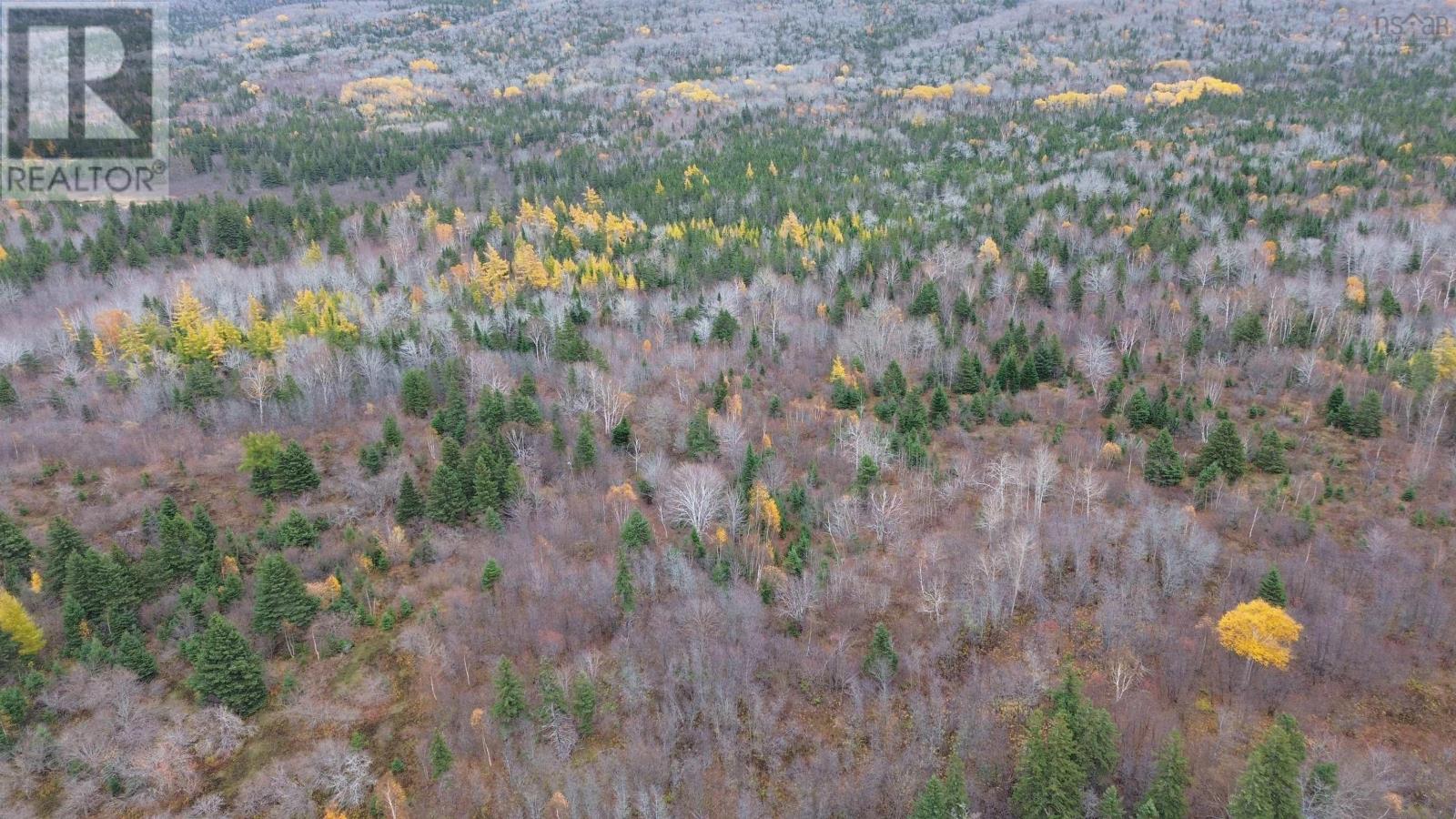 Es/sw Margaree Road, Southwest Margaree, Nova Scotia  B0E 2A0 - Photo 9 - 202524253