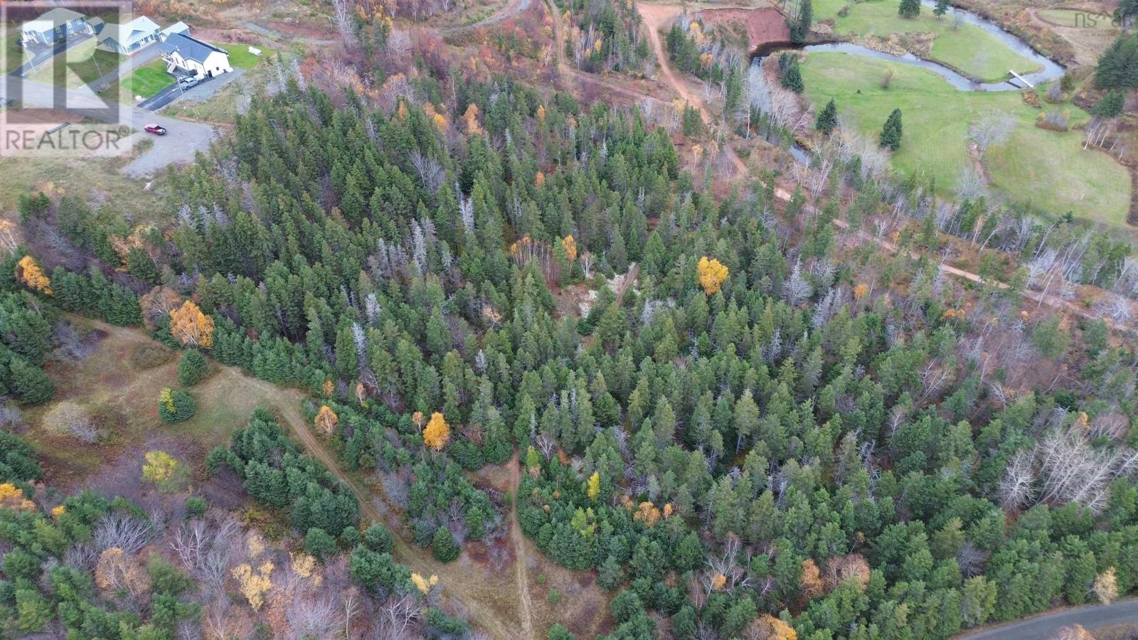 Acreage Silverwood Lane, Inverness, Nova Scotia  B0E 1N0 - Photo 11 - 202524755