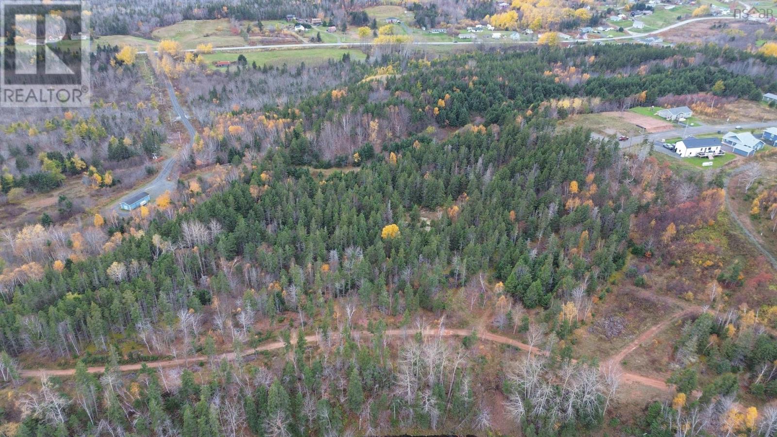 Acreage Silverwood Lane, Inverness, Nova Scotia  B0E 1N0 - Photo 16 - 202524755