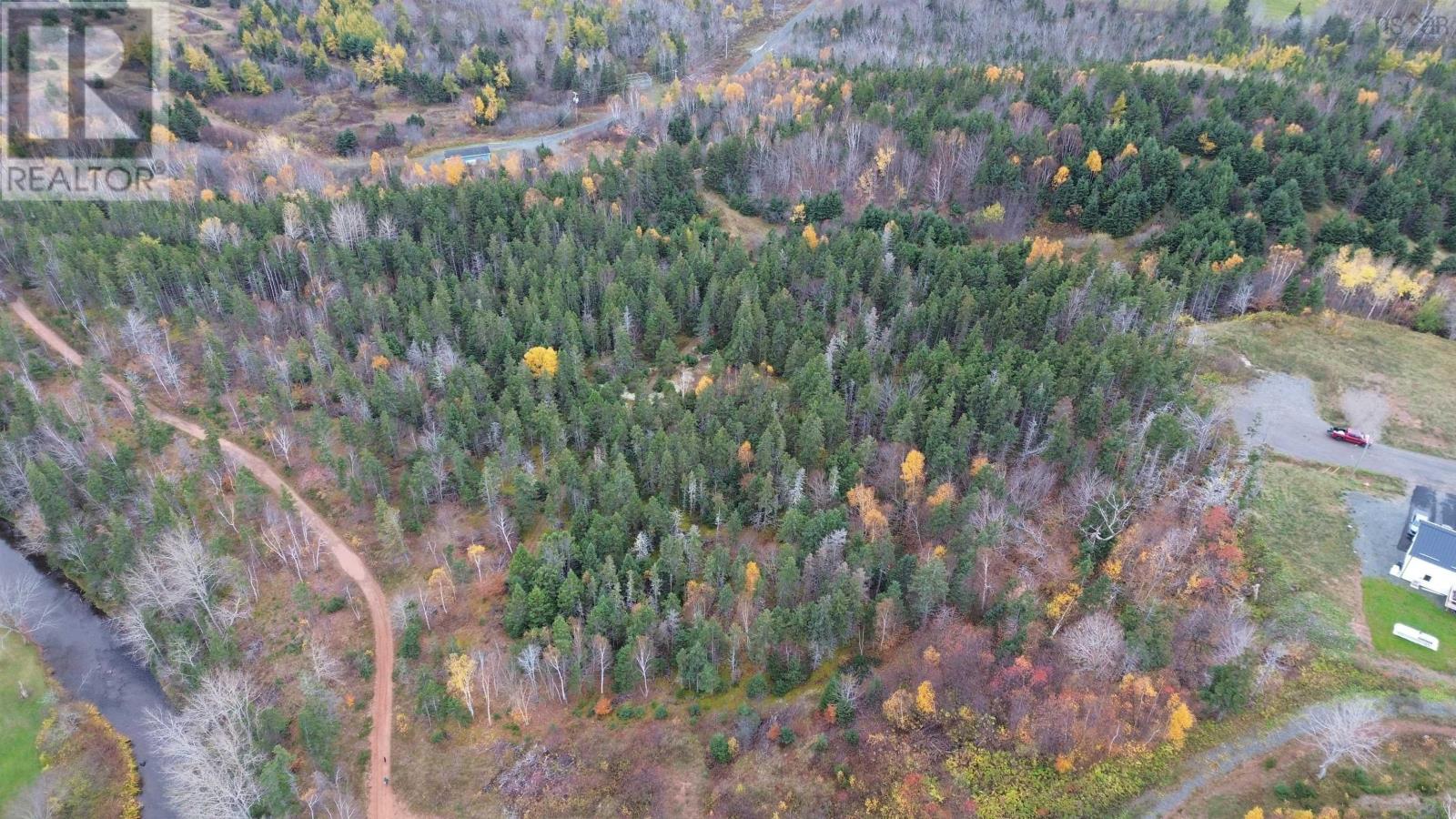 Acreage Silverwood Lane, Inverness, Nova Scotia  B0E 1N0 - Photo 19 - 202524755