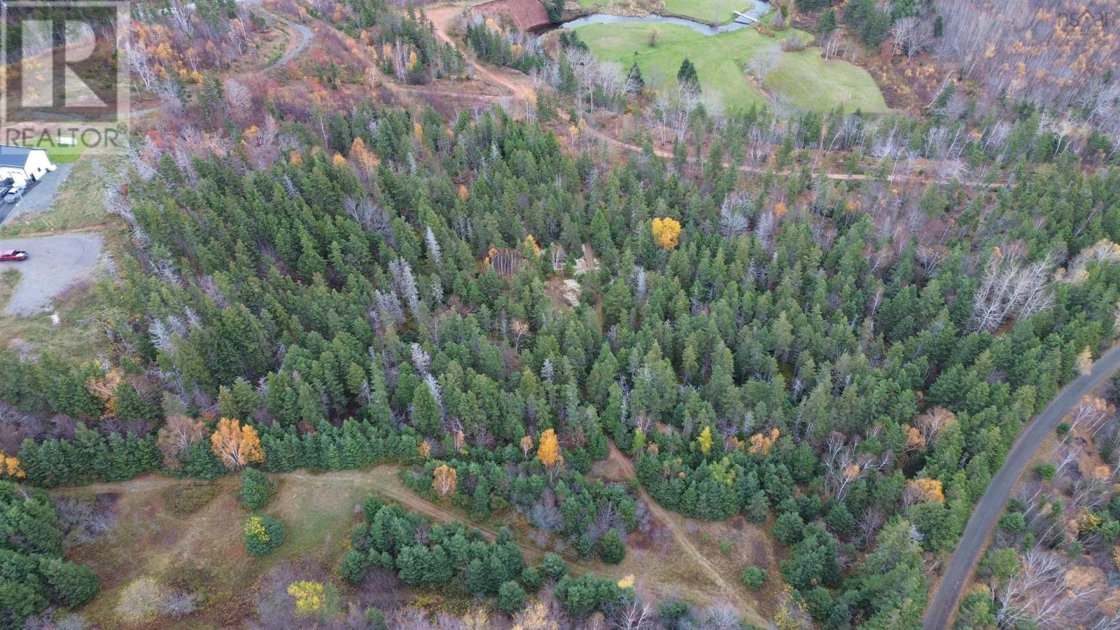 Acreage Silverwood Lane, Inverness, Nova Scotia  B0E 1N0 - Photo 10 - 202524755