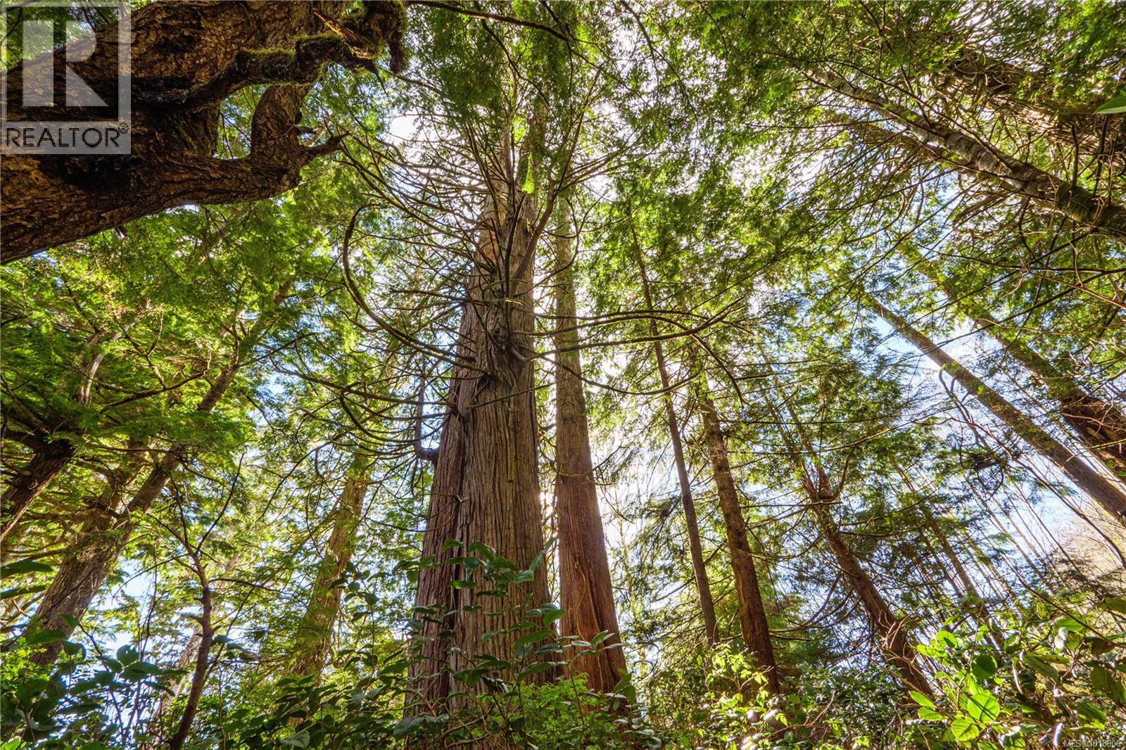 1198 Front St, Ucluelet, British Columbia V0R 3A0 - Photo 15 - 1018906