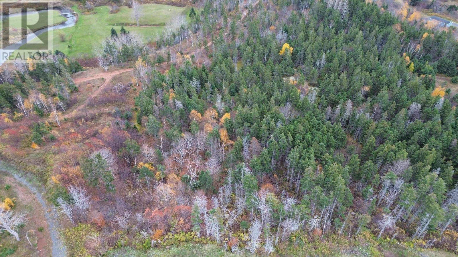 Acreage Silverwood Lane, Inverness, Nova Scotia  B0E 1N0 - Photo 21 - 202524755