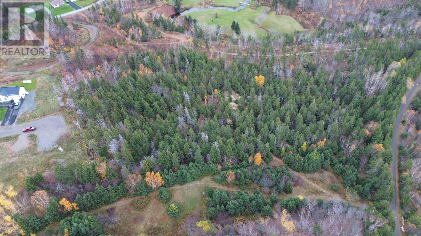 Acreage Silverwood Lane, Inverness, Nova Scotia  B0E 1N0 - Photo 9 - 202524755