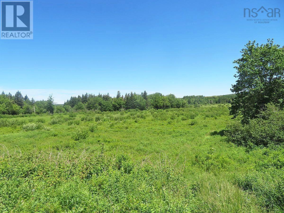 62 Acres West Side Road, West Side Country Harbour, Nova Scotia  B0H 1J0 - Photo 40 - 202407283
