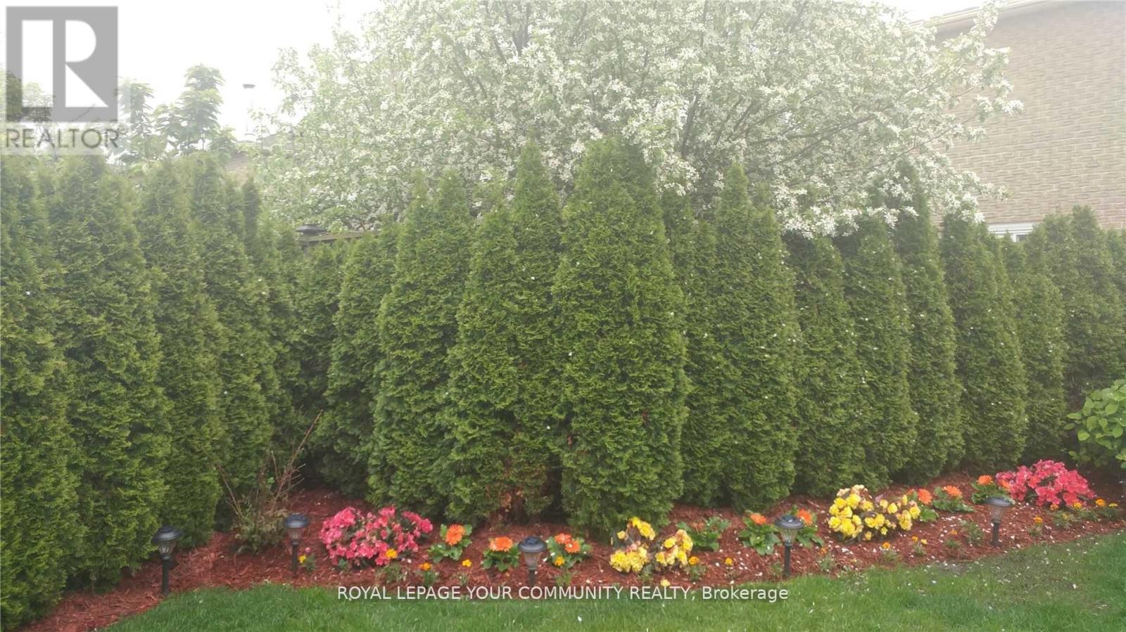 Main & 2nd Floor - 61 Nightstar Drive, Richmond Hill, Ontario  L4C 8H8 - Photo 3 - N12509612