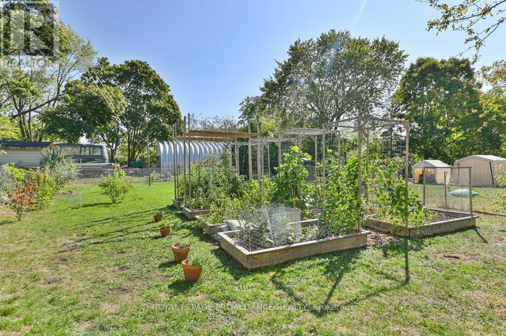 9 Wilkins Street, Belleville (Belleville Ward), Ontario  K8P 1P2 - Photo 31 - X12509838