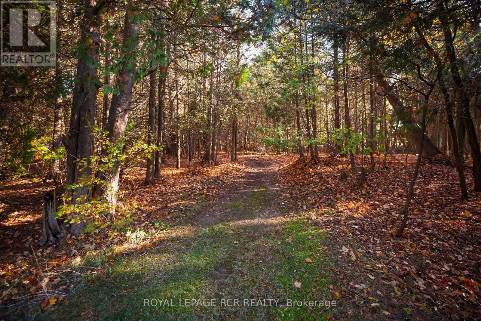 674189 Hurontario Street, Mono, Ontario  L9W 5R9 - Photo 39 - X12506220