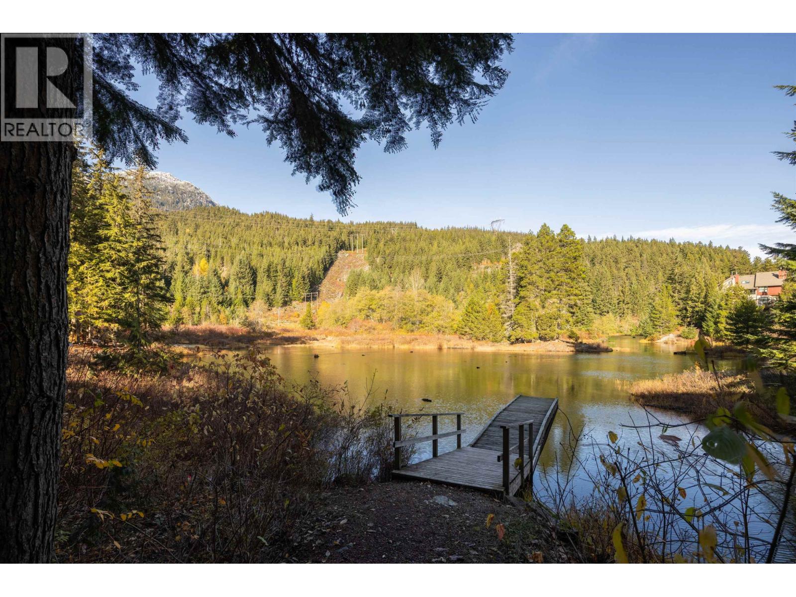 D103 1400 Alta Lake Road, Whistler, British Columbia V8E 0G9 - Photo 16 - R3064683