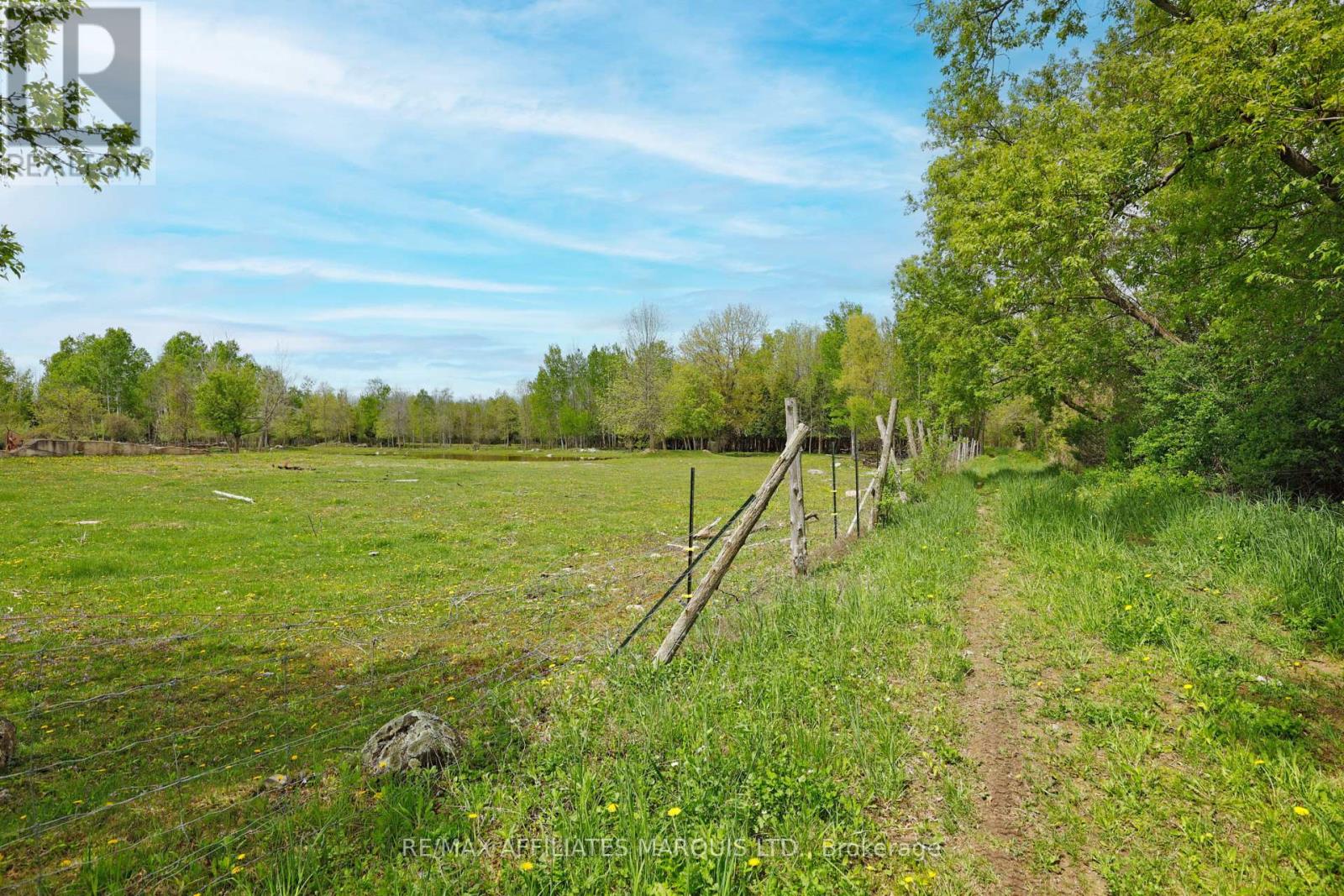 14059 Dafoe Road, South Stormont, Ontario  K0C 1M0 - Photo 31 - X12509732