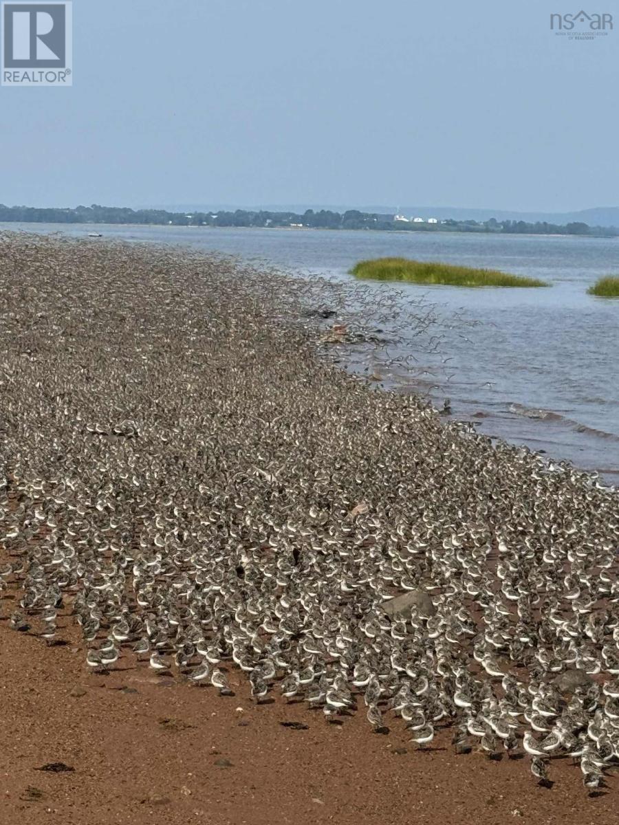 158 Plover Lane, North Grand Pre, Nova Scotia  B0P 1M0 - Photo 17 - 202527291