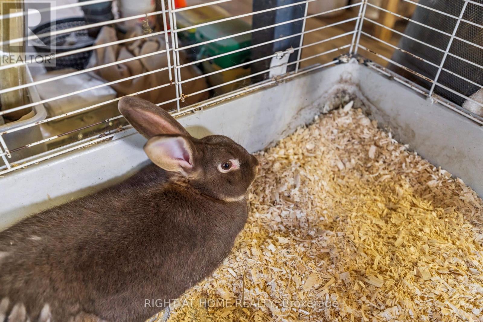 6216 Sunnidale Tosorontio Townline, Clearview, Ontario  L0M 1K0 - Photo 32 - S12348707