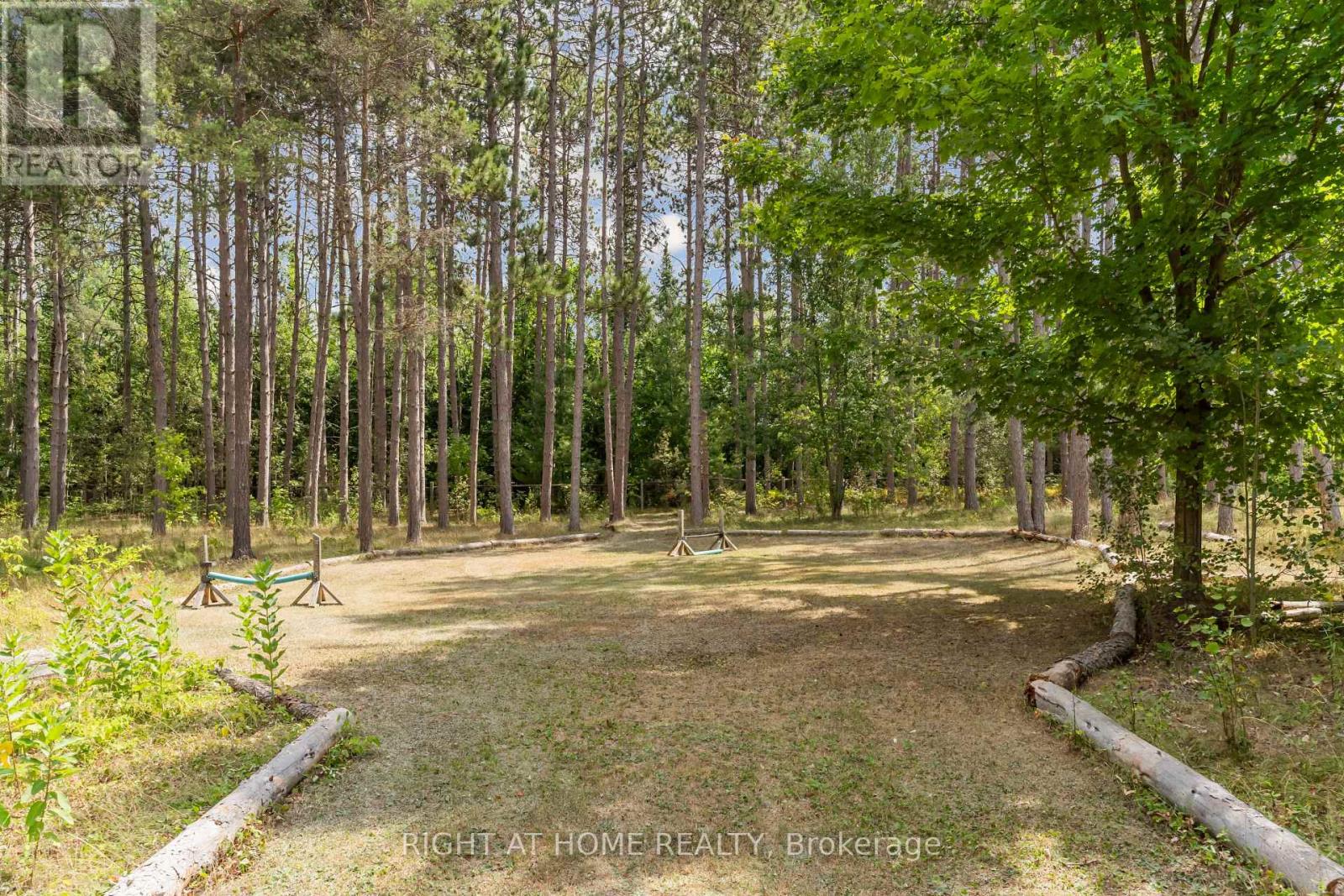 6216 Sunnidale Tosorontio Townline, Clearview, Ontario  L0M 1K0 - Photo 41 - S12348707