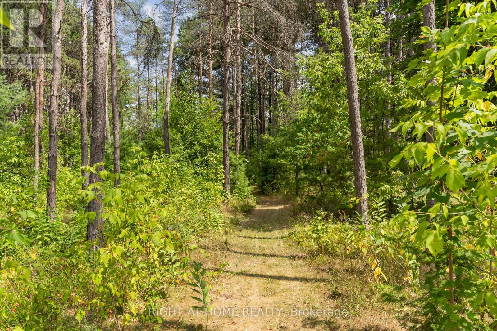 6216 Sunnidale Tosorontio Townline, Clearview, Ontario  L0M 1K0 - Photo 42 - S12348707