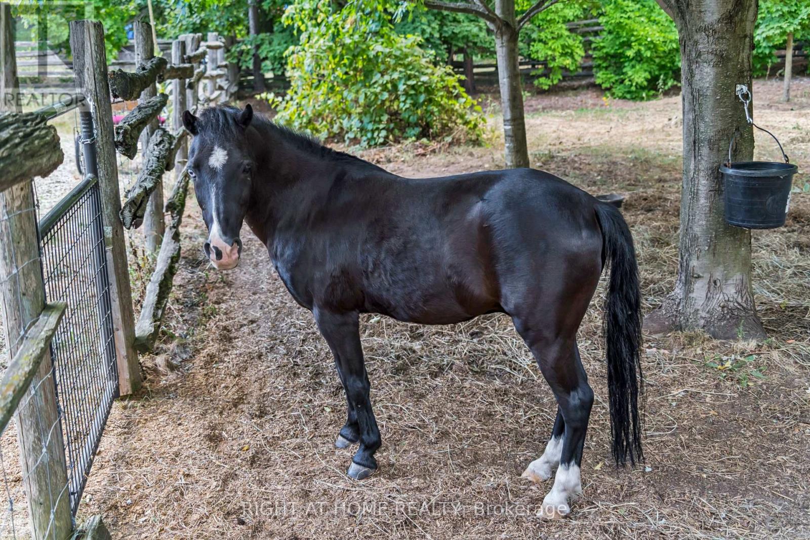 6216 Sunnidale Tosorontio Townline, Clearview, Ontario  L0M 1K0 - Photo 37 - S12348707