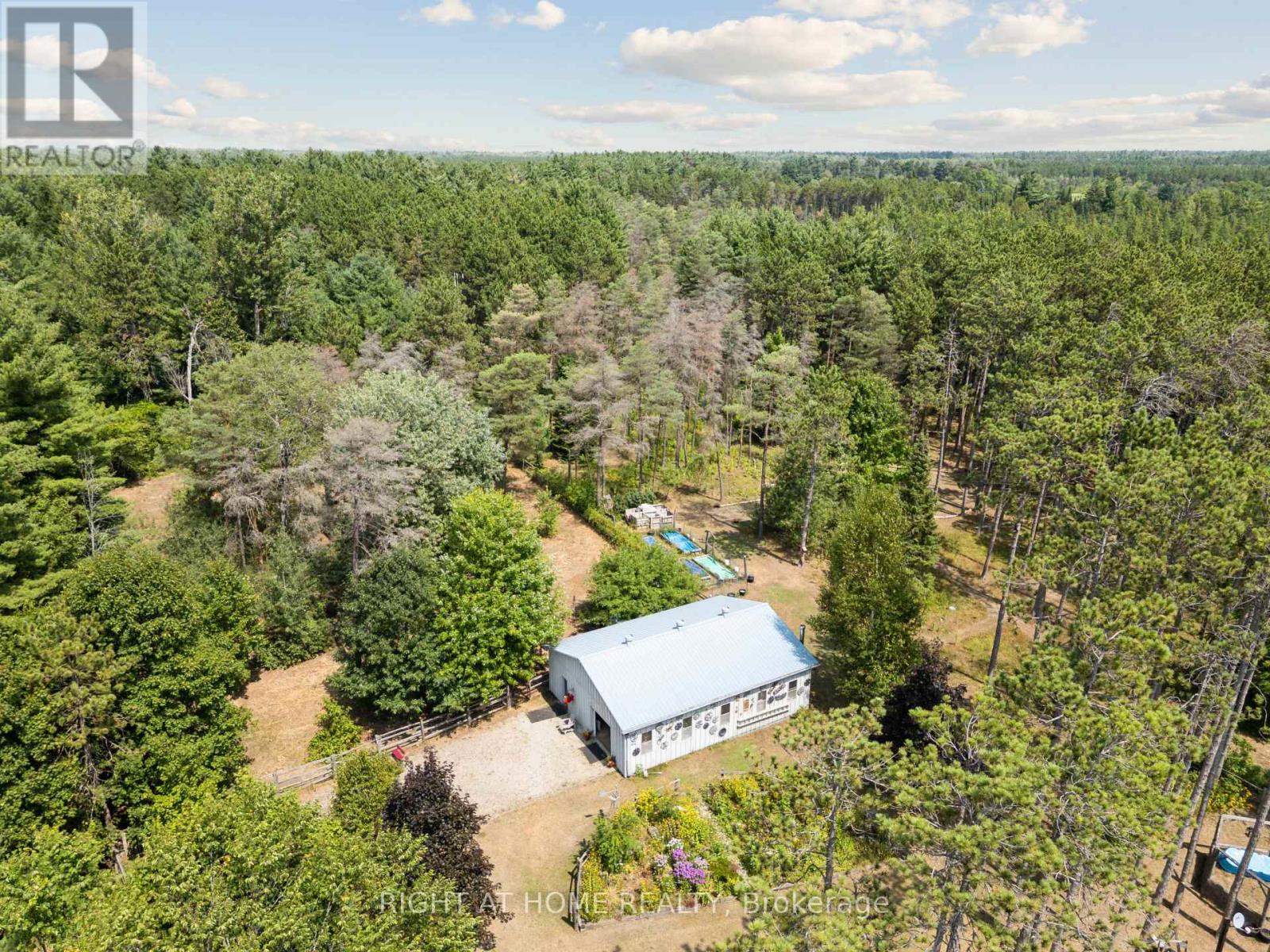 6216 Sunnidale Tosorontio Townline, Clearview, Ontario  L0M 1K0 - Photo 46 - S12348707