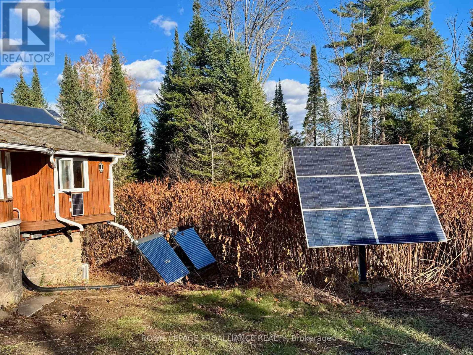 412 Mccauley's Road, North Kawartha, Ontario  K0L 1A0 - Photo 3 - X12510038