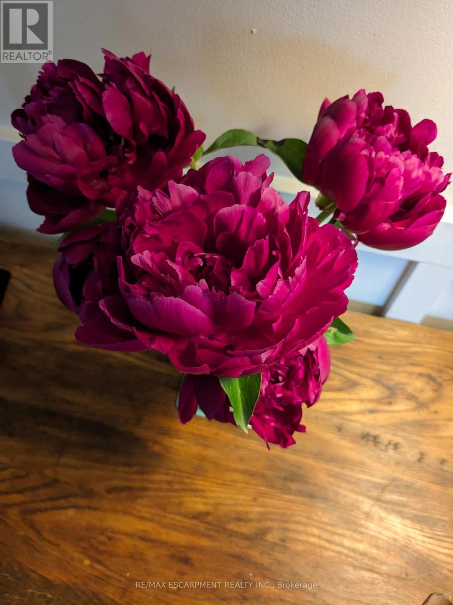 136 Glenariff Drive, Hamilton, Ontario  L8B 1A5 - Photo 42 - X12509796