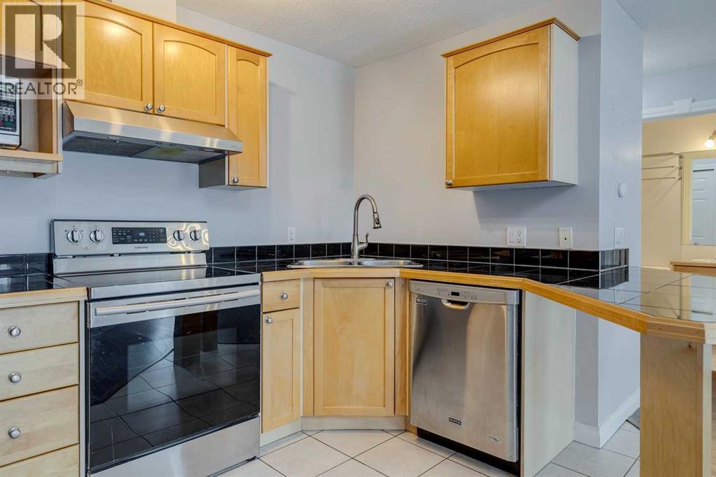 404, 1631 28 Avenue Sw, Calgary, Alberta T2T 1J5 - Photo 11 - A2231397