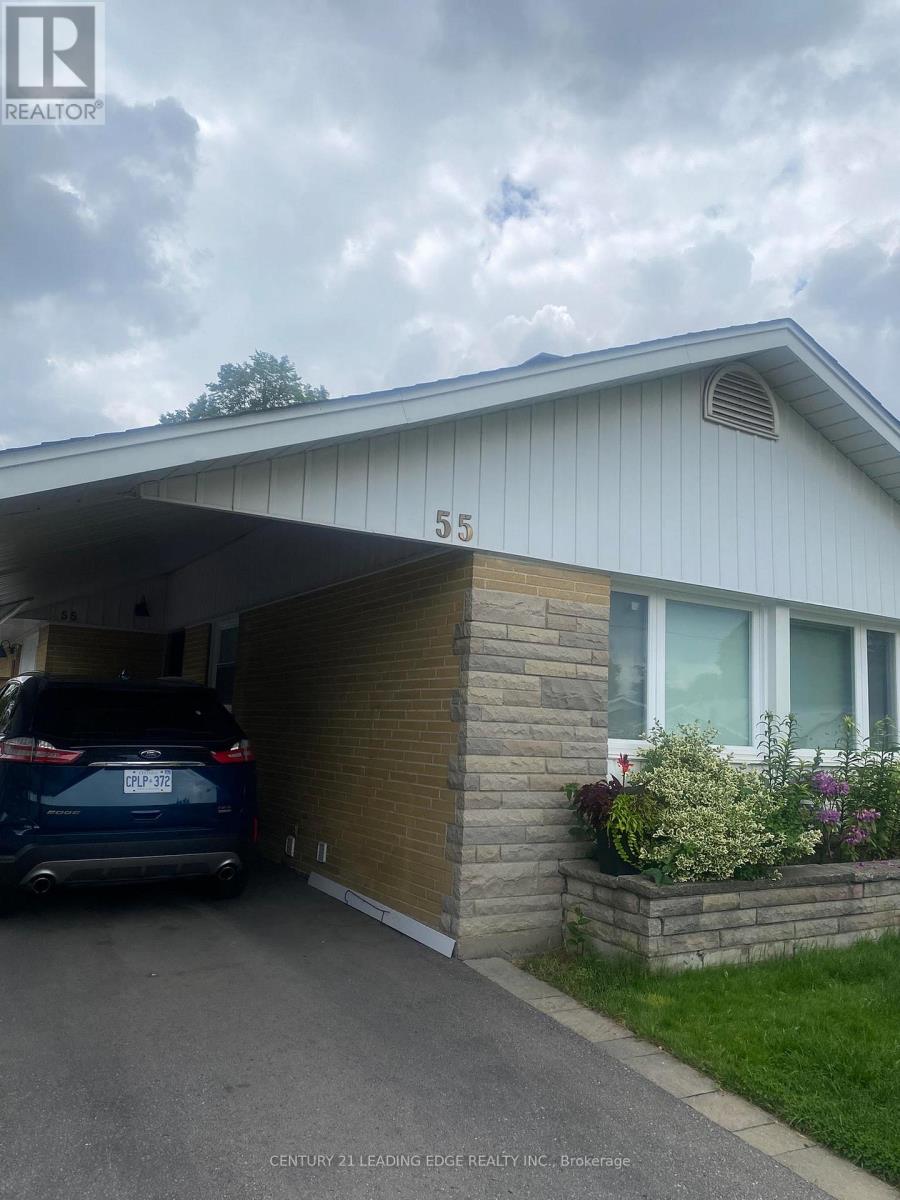 BSMT - 55 DEERFIELD ROAD, Toronto, Ontario