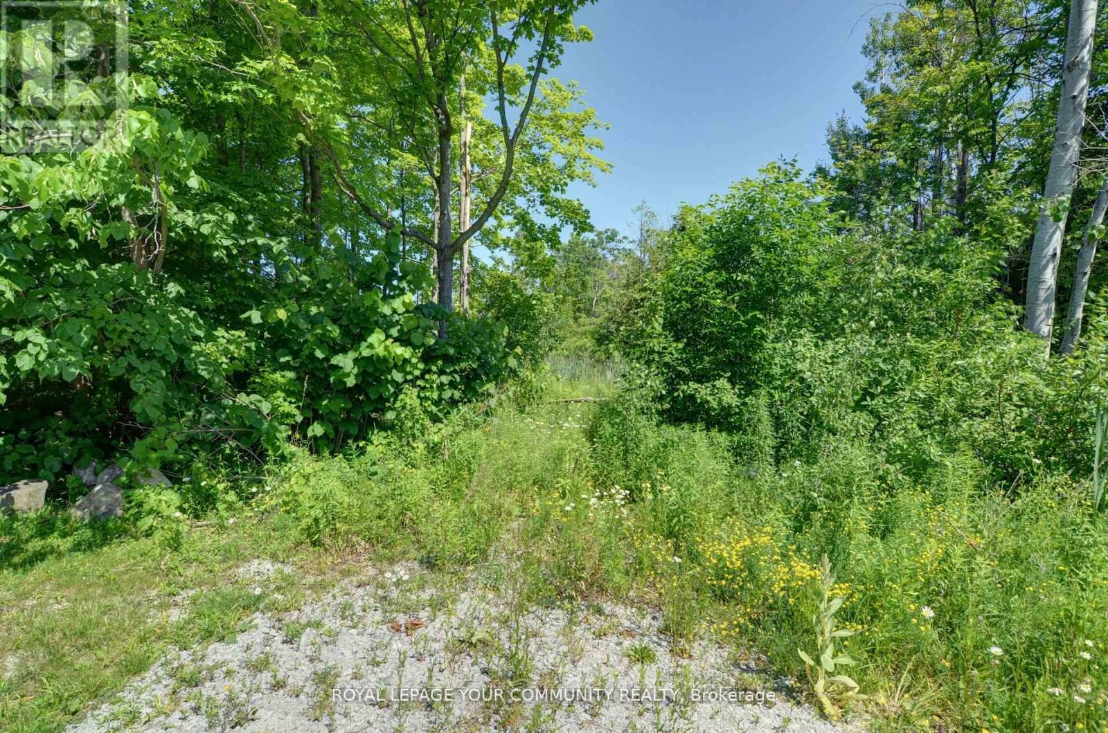 3635 Kimberley Street, Innisfil, Ontario  L9S 2L3 - Photo 9 - N12505304