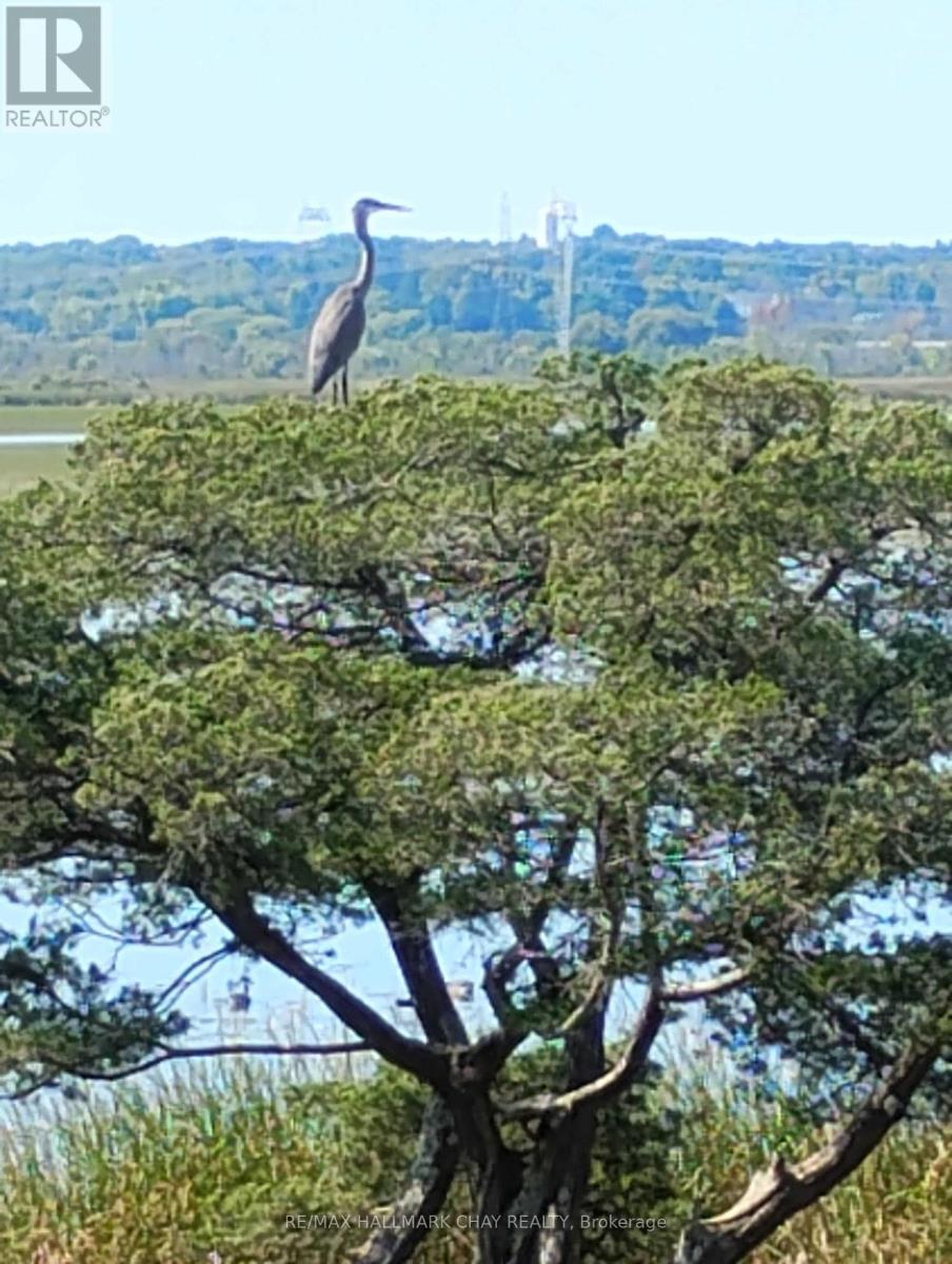 1866 Tay Bay Road, Severn, Ontario  L0K 1E0 - Photo 40 - S12383468