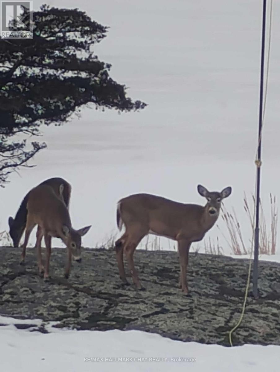 1866 Tay Bay Road, Severn, Ontario  L0K 1E0 - Photo 38 - S12383468