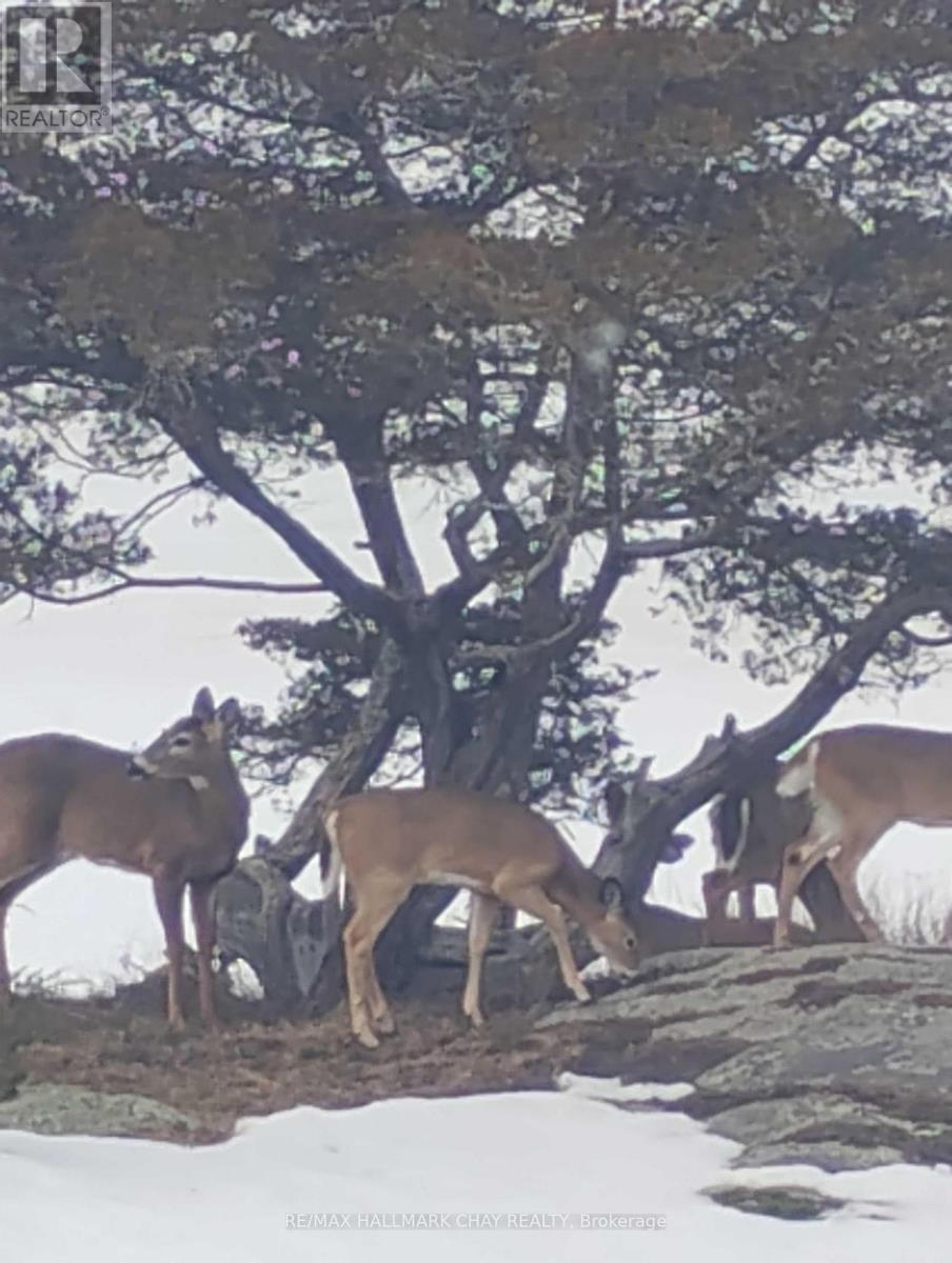 1866 Tay Bay Road, Severn, Ontario  L0K 1E0 - Photo 39 - S12383468