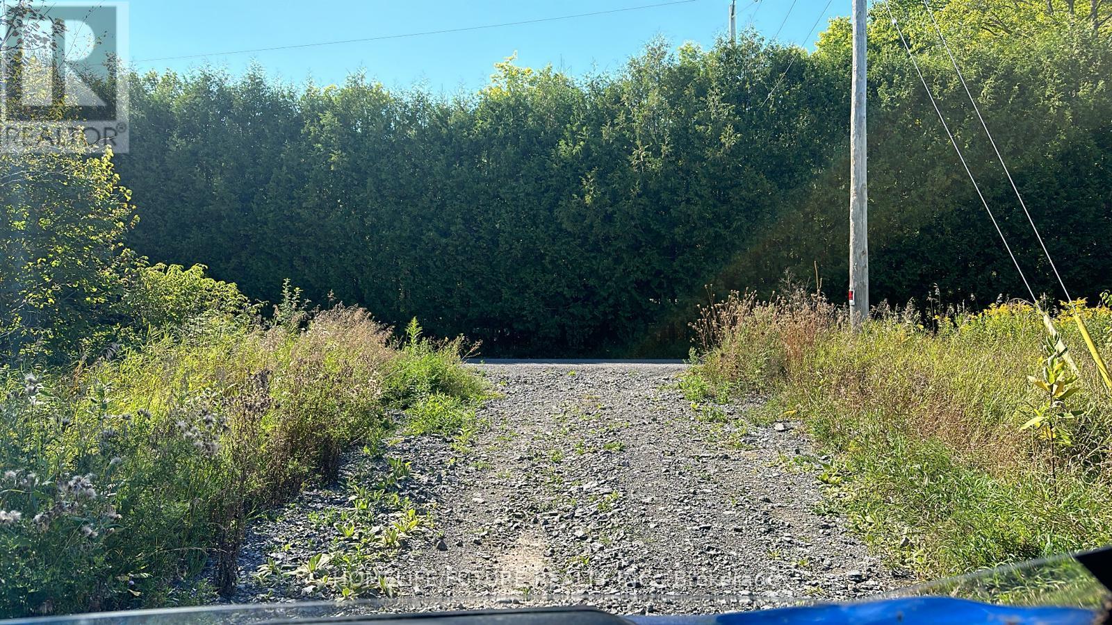 Pt/lt13 Belmont Concession, Havelock-Belmont-Methuen, Ontario  K0L 1Z0 - Photo 11 - X12509880