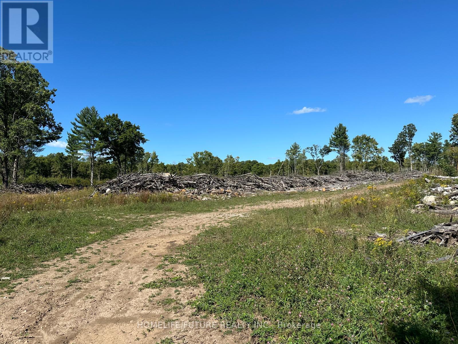 Pt/lt13 Belmont Concession, Havelock-Belmont-Methuen, Ontario  K0L 1Z0 - Photo 12 - X12509880