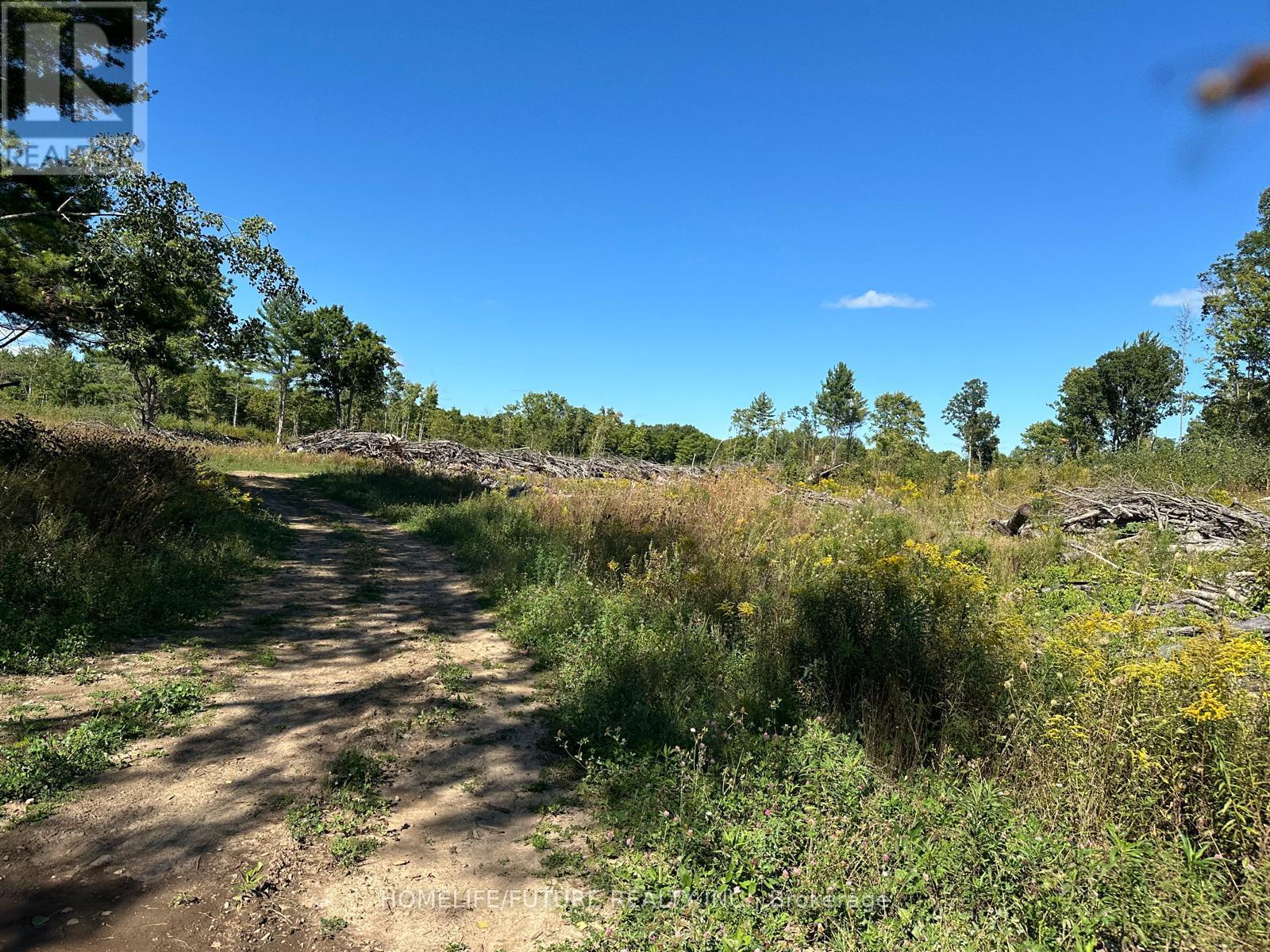 Pt/lt13 Belmont Concession, Havelock-Belmont-Methuen, Ontario  K0L 1Z0 - Photo 13 - X12509880