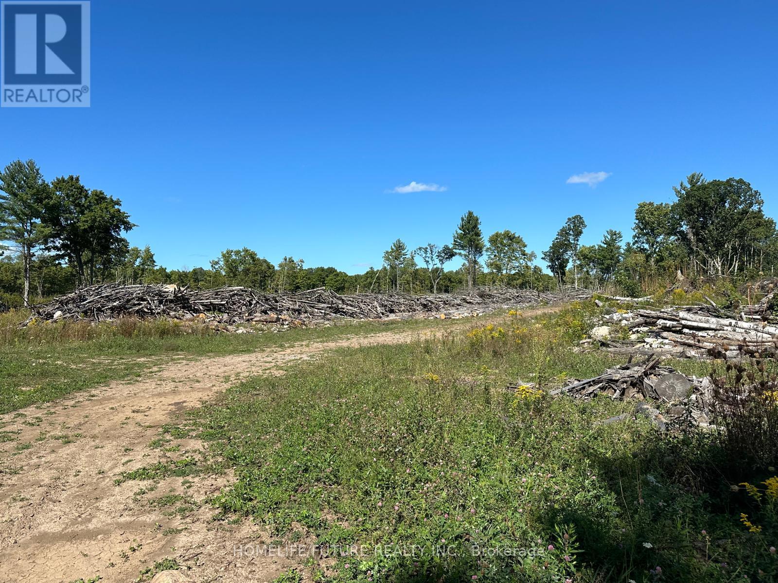 Pt/lt13 Belmont Concession, Havelock-Belmont-Methuen, Ontario  K0L 1Z0 - Photo 14 - X12509880