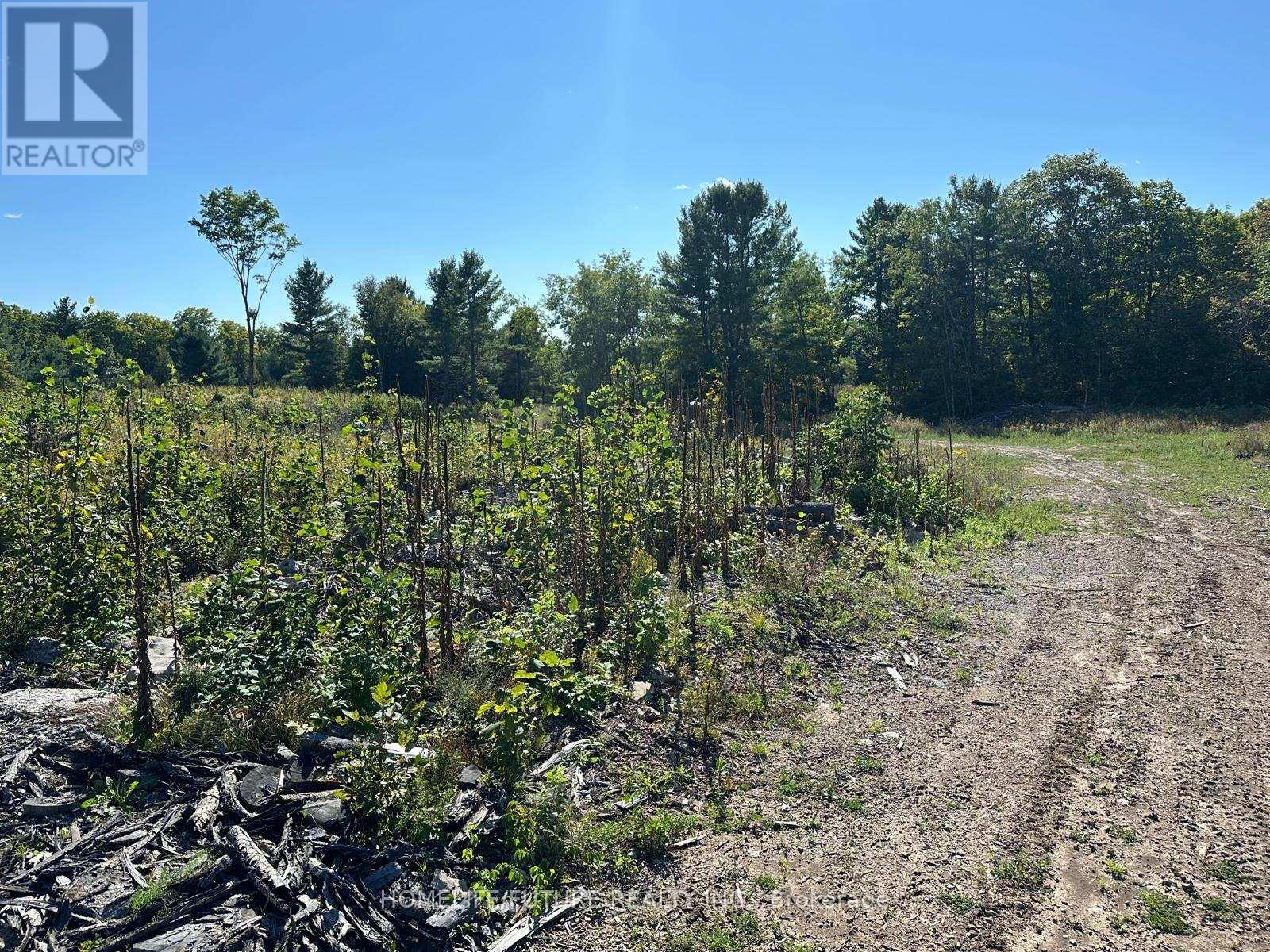 Pt/lt13 Belmont Concession, Havelock-Belmont-Methuen, Ontario  K0L 1Z0 - Photo 15 - X12509880