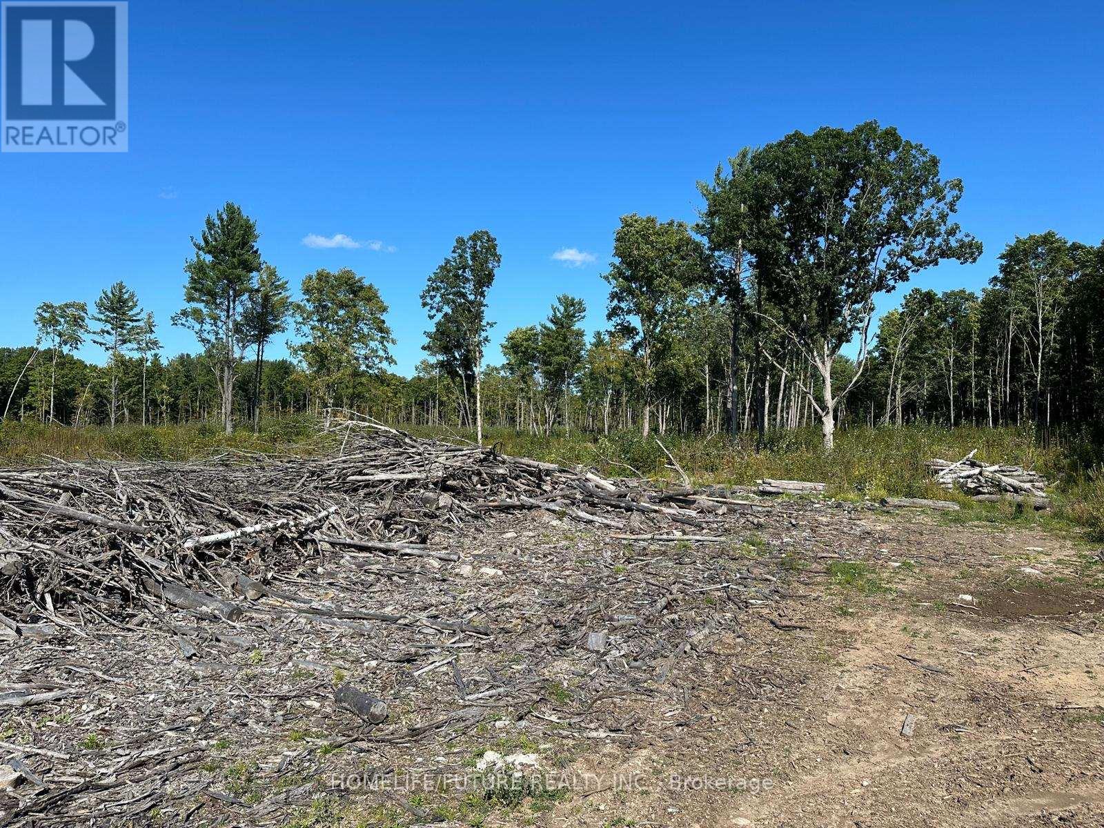 Pt/lt13 Belmont Concession, Havelock-Belmont-Methuen, Ontario  K0L 1Z0 - Photo 2 - X12509880