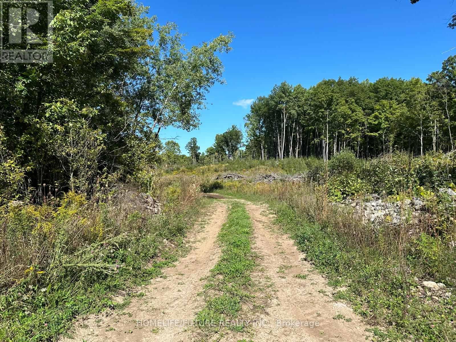 Pt/lt13 Belmont Concession, Havelock-Belmont-Methuen, Ontario  K0L 1Z0 - Photo 3 - X12509880