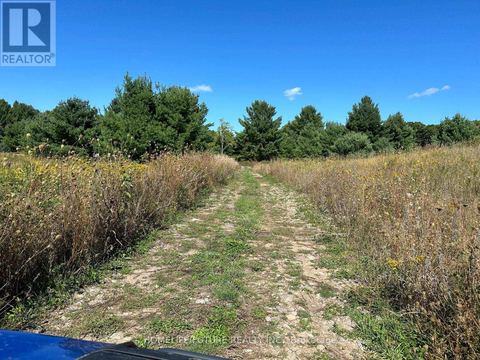 Pt/lt13 Belmont Concession, Havelock-Belmont-Methuen, Ontario  K0L 1Z0 - Photo 4 - X12509880