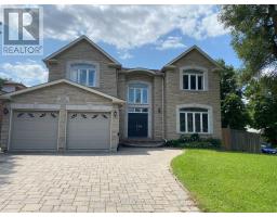 BASEMENT - 53 HAVENDALE ROAD, Toronto, Ontario