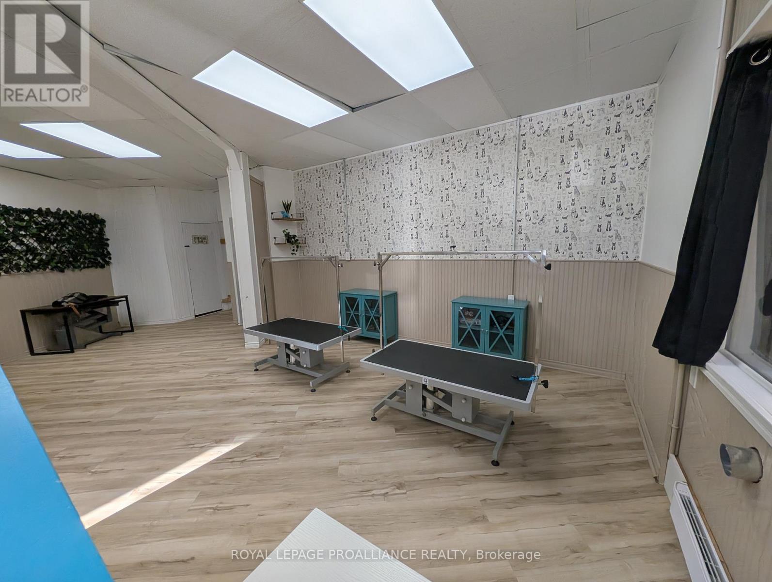 Front Unit - 48 King Street Nw, Quinte West, Ontario K8V 3V8 - Photo 7 - X12507418