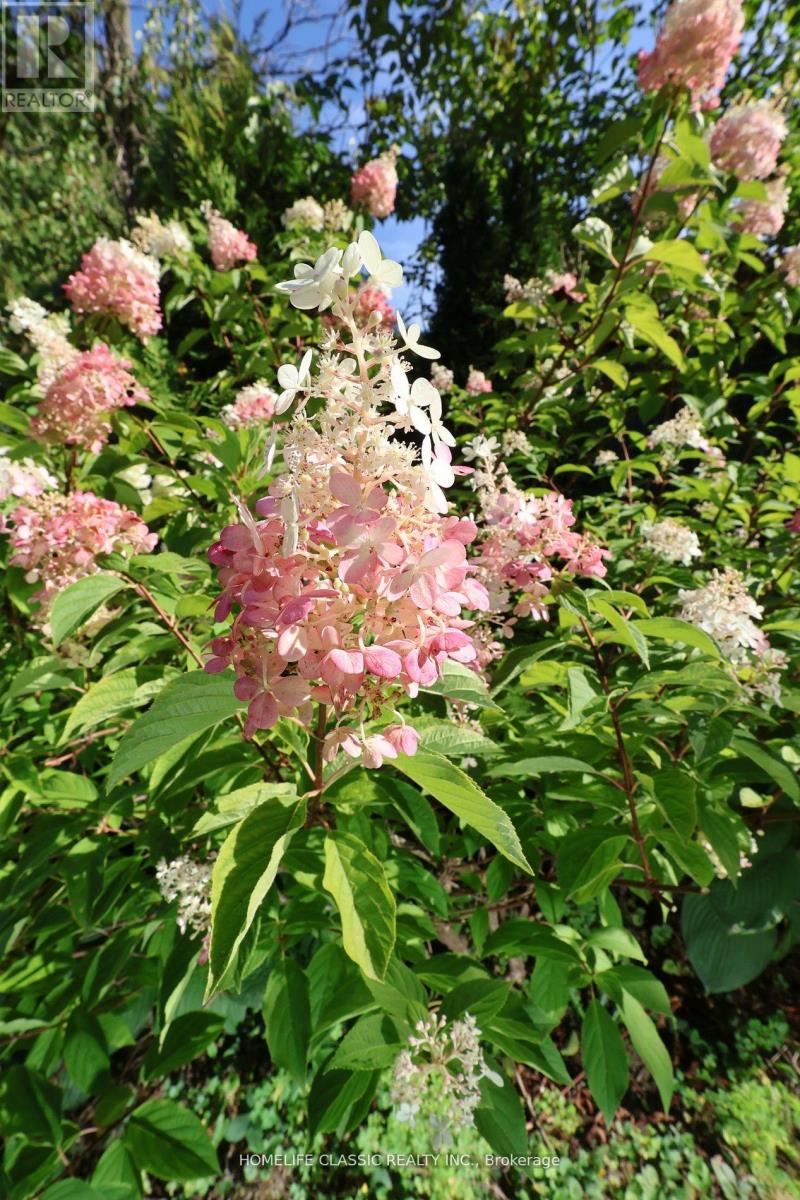 354 Bexhill Road, Newmarket, Ontario  L3Y 6P7 - Photo 23 - N12510286