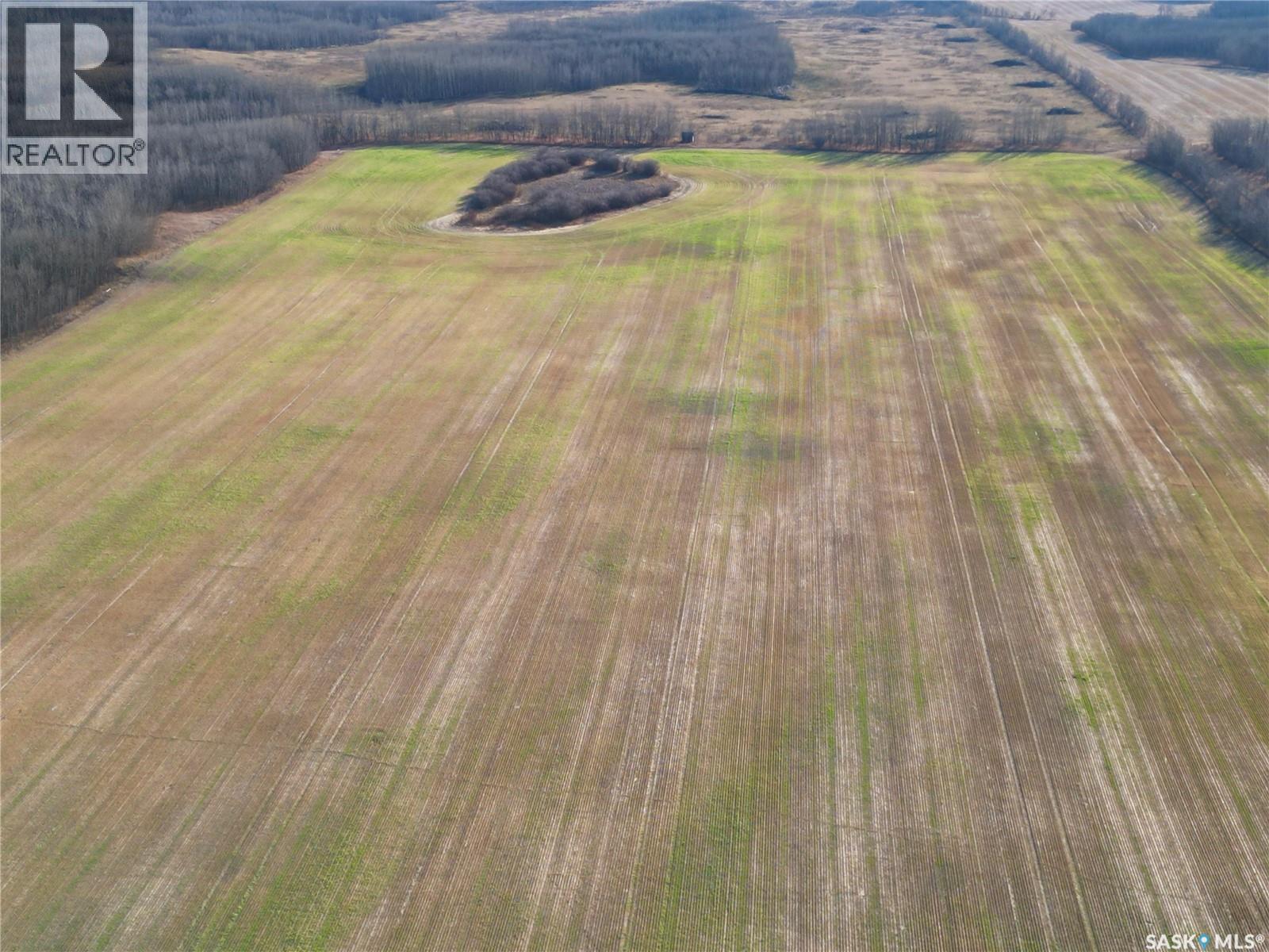 Robertson Quarter Section-Rm Medstead, Medstead Rm No.497, Saskatchewan  S0M 1W0 - Photo 3 - SK022431