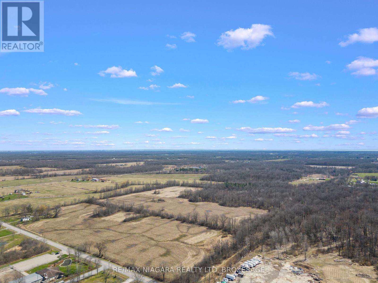10219 Morris Road, Niagara Falls, Ontario  L0S 1K0 - Photo 6 - X12510368