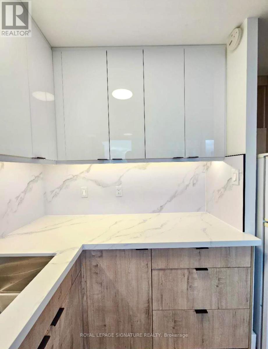 705 - 720 Spadina Avenue, Toronto, Ontario  M5S 2T9 - Photo 8 - C12510342